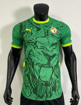 Maillot Sénégal nouveau model domicile  et extérieur image 3