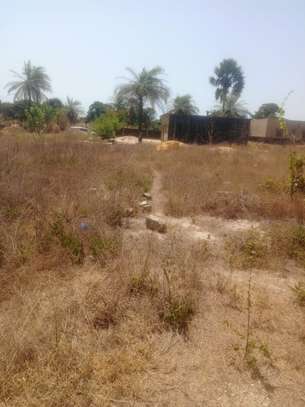 A VENDE TERRAIN CAP SKIRRING  800m2 image 6