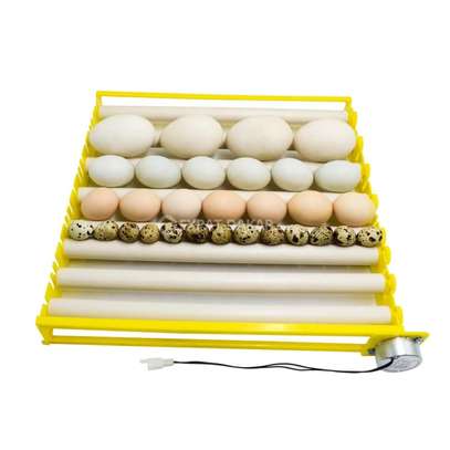 Couveuse automatique 112 œufs image 4