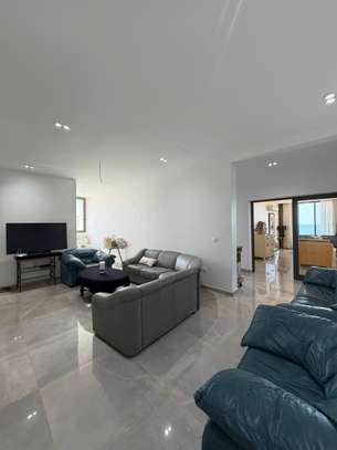 Magnifique Penthouse à louer image 3