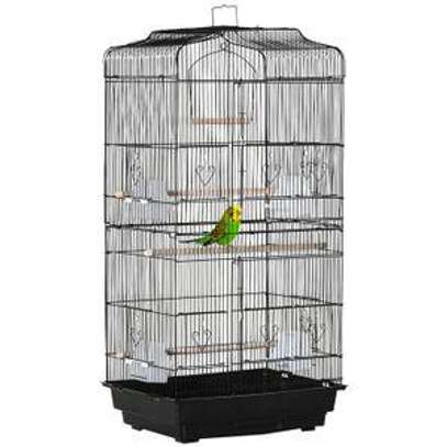 Cage oiseaux image 4