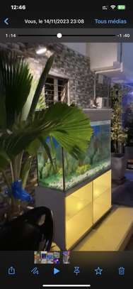 Superbe Aquarium de 280 Litres image 5
