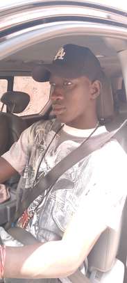 Chauffeur professionnel image 1