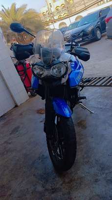 Triumph tiger 800 2017 papiers complet image 3