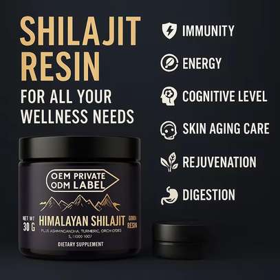 Shilajit Résine Pure image 4