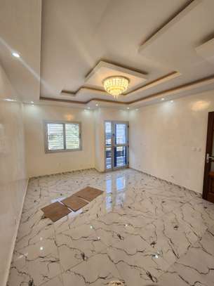 APPARTEMENT F3 A LOUER AUX MARISTES image 2