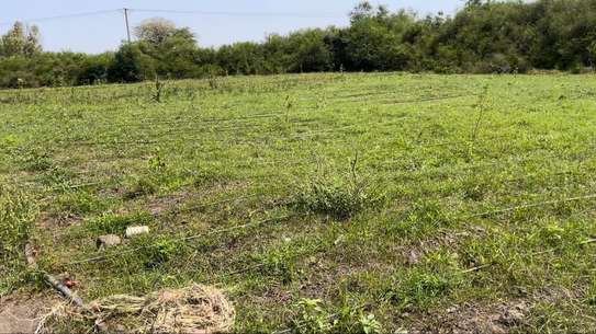 Terrain 1 hectare a sebiponty ndoyene image 5