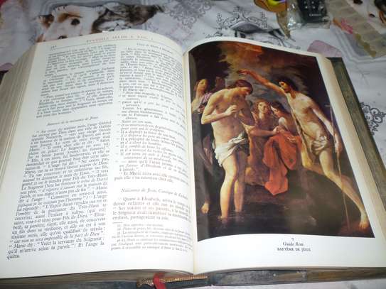 Bible en Argent image 2