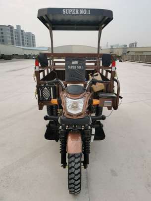 Tricycles 5 roues image 2
