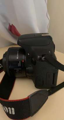 Canon 750d avec 50mm 1.8YN image 4