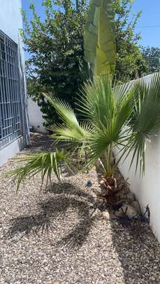 Colocation villa meublee image 1