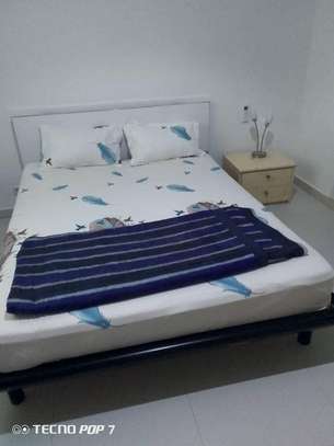 Mamelles appartement meublé image 6