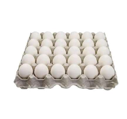 Ventes en gros tablettes d'œufs frais. image 1