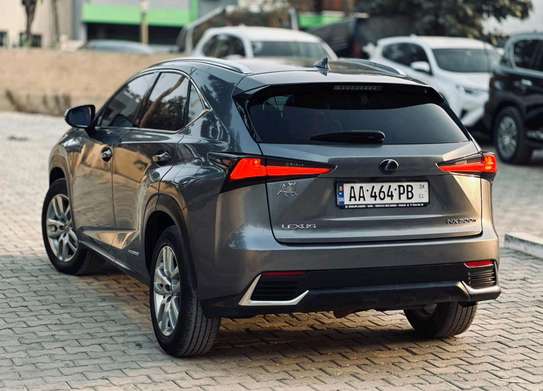 2020 Lexus NX 300H Hybrid image 13