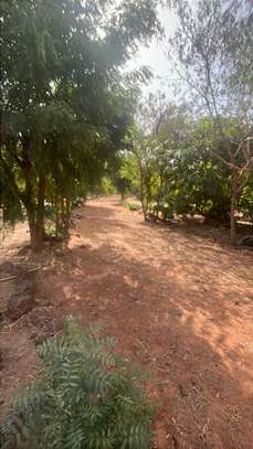 TERRAIN DE 18000M2 A NGERIGNE image 5
