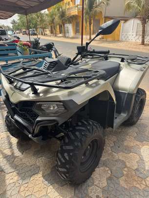 Quad Cf Moto 450 image 6