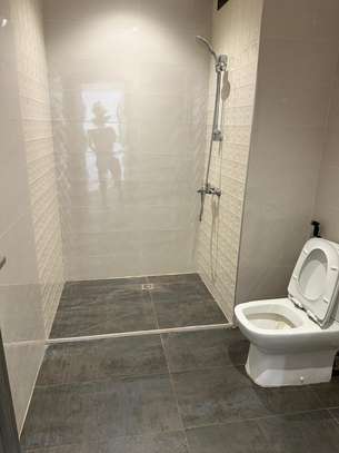 APPARTEMENT A LOUER SUR SALY image 2