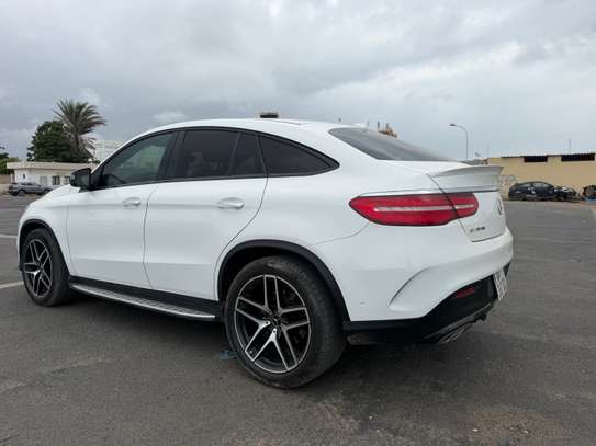 GLE image 12