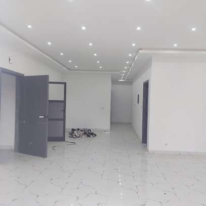 APPAT F4 A LOUER MAMELLES image 2