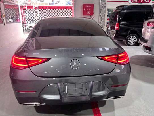 CLS 450 image 4