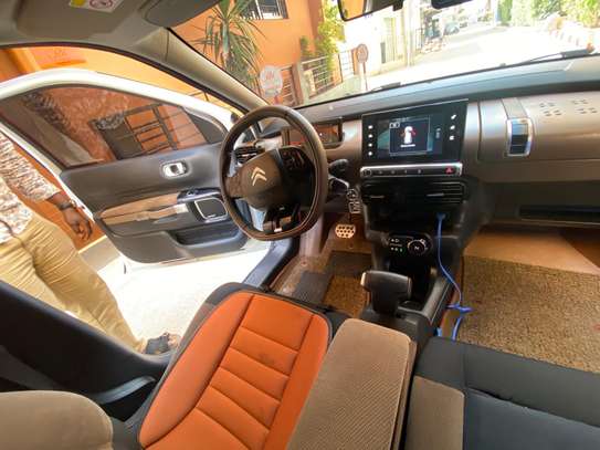 C4 cactus image 10
