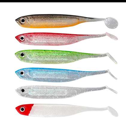 Canne a pêche , filet net a jeter , les apats image 5