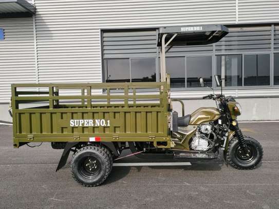 Tricycles 5 roues image 1