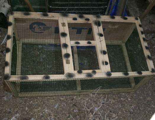 Cage pour Lapereaux ou petites volailles image 1