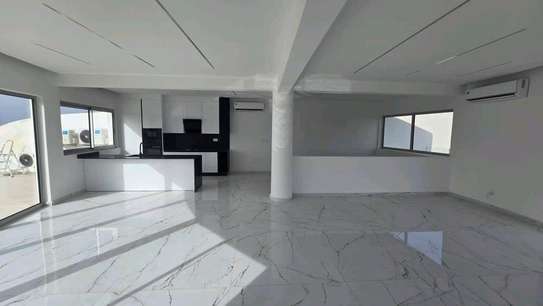 Duplex penthouse à louer image 5