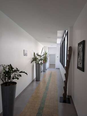 Appartement F4 à louer Centre Ville en face Pullman image 10