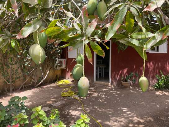 À vendre belle maison à Saly Niakhniakhal image 1