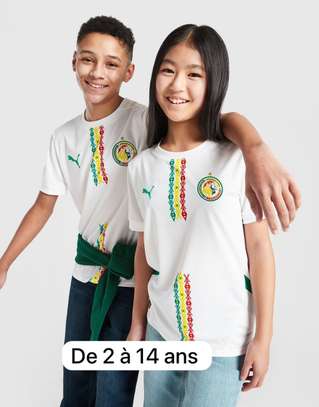 Maillot Sénégal maillot néant image 2
