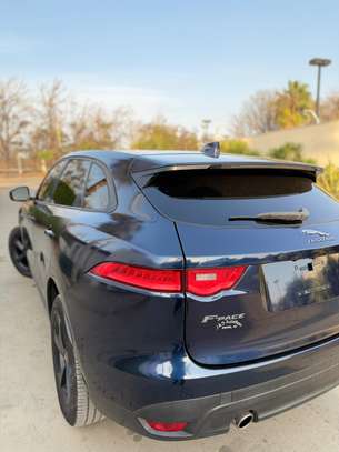 Jaguar venant image 2