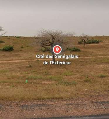 CITES DES SENEGALAIS DE L'EXTERIEUR image 11