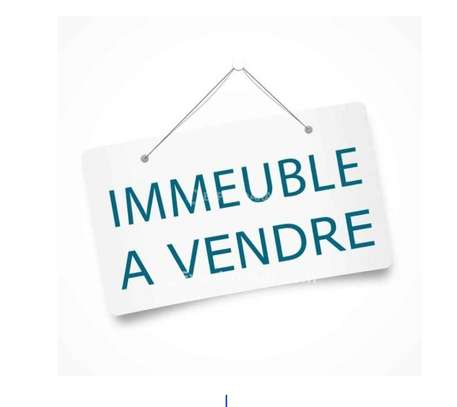 Immeuble à vendre image 9