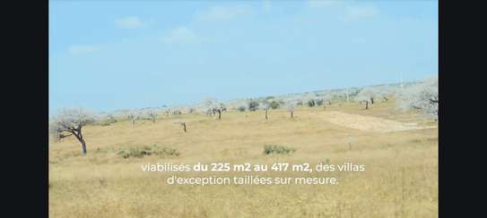 CITES DES SENEGALAIS DE L'EXTERIEUR MBORO/DIAS image 2