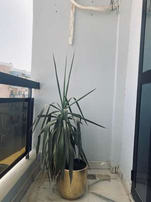 Appartement moderne aux Mamelles image 8