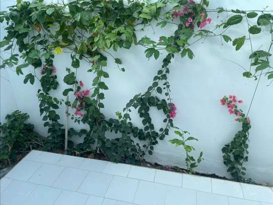 Villa à louer à Saint-Louis NGALLELE image 7