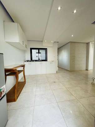 PENTHOUSE A LOUER OUEST FOIRE image 3