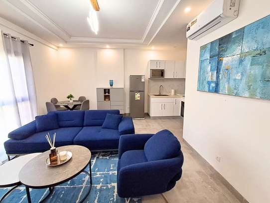 APPARTEMENT MEUBLÉ A MERMOZ : DEUX PIÈCES COSY image 1