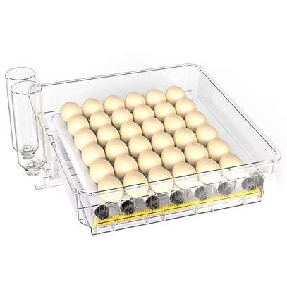 🐣 COUVEUSES AUTOMATIQUES WONEGG  ! 🐣 image 2