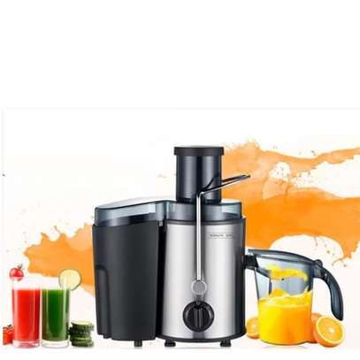EXTRACTEUR DE JUS ROYALTY 850W PJE-700 image 2