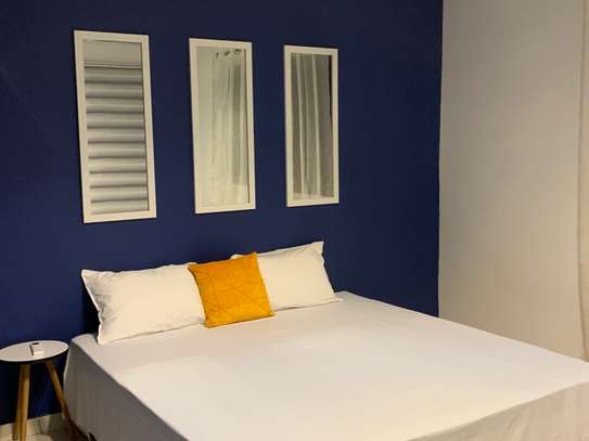 APPARTEMENT MEUBLÉ À LOUER MERMOZ image 11