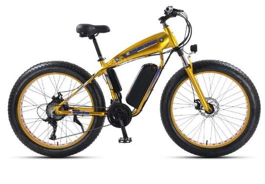 vélo électrique image 2