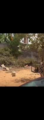 Terrain de 300m2 à Keur Ndiaye lo image 2