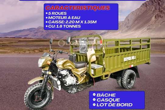 Moto Tricycle Bagages Super 250 image 1