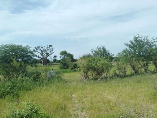 5 hectares à vendre entre Saou et Diambalo image 2