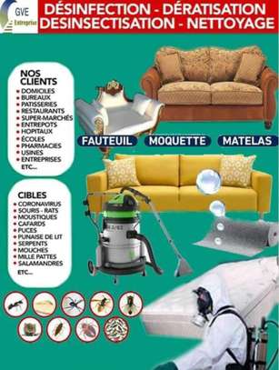 Nettoyage canapé et matelas image 1