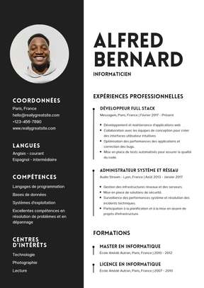 Cv pro+ page Facebook professionnelle + Logo personnalisé image 1