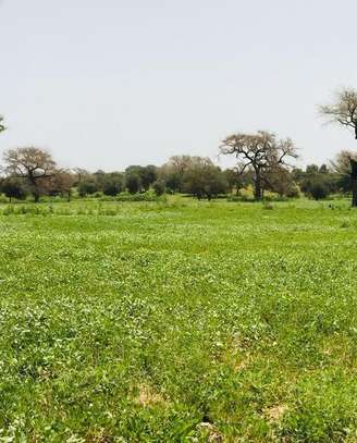 Terrains a vendre 4 hectares 700 à Sebikotane KM50 image 2